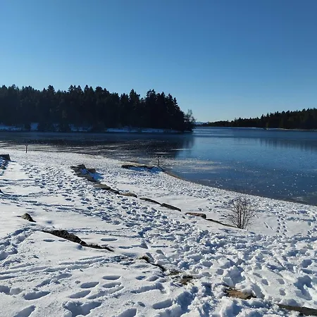 Le Chant Des Mesanges Avec 3 * Tence