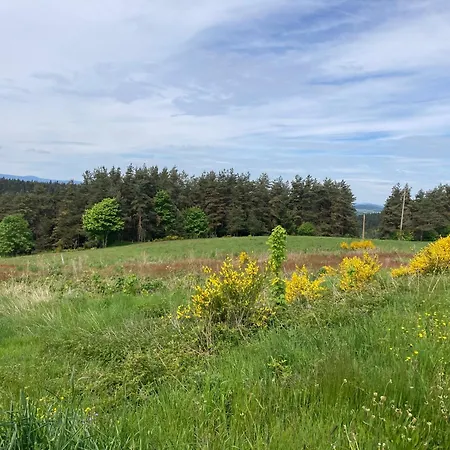 Tatil Evi Le Chant Des Mesanges Avec 3