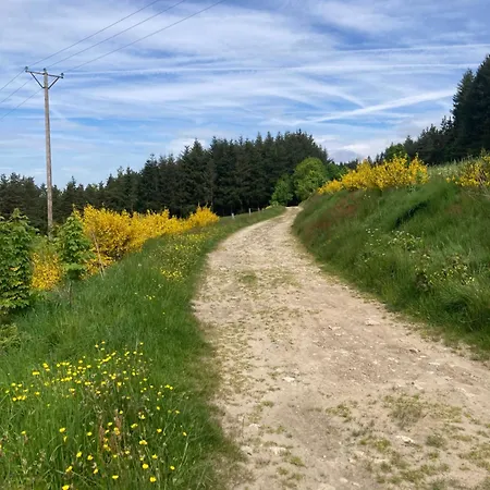 Le Chant Des Mesanges Avec 3 Tatil Evi *